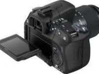 imagen-2