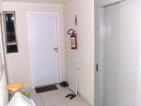 imagen-19
